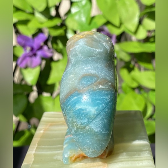 Caribbean Calcite Penguin - Picture 4 of 15